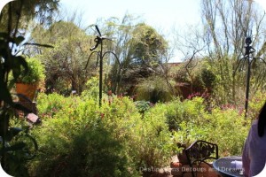 Tohono Chul Park bistro patio view