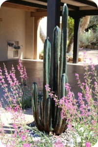 Cactus water fountain