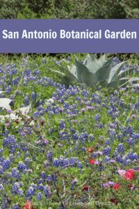 San Antonio Botanical Garden