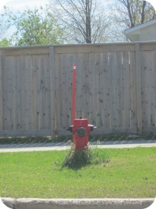 Fire Hydrant