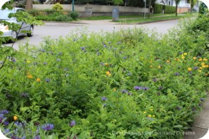 Vancouver Green Streets garden