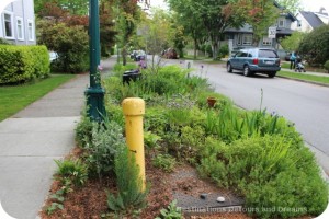 Vancouver Green Streets garden