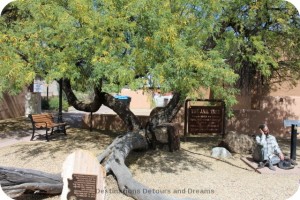 Wickenburg Jail Tree