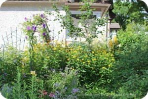 Master Gardener Tour Garden