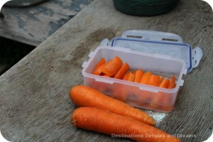 Carrots
