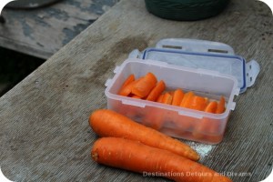 Carrots