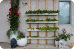 Vertical greens garden