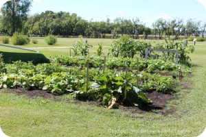 Garden at St. Norbert Heritage Park