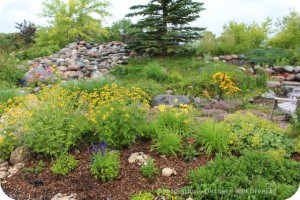 Stream built into side of dike