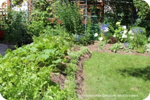 Lasagna garden beds