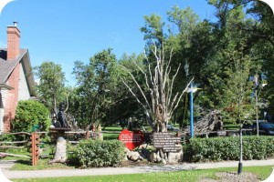 Garden in River Heights, Winnipeg