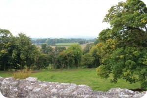 Raglan Castle view