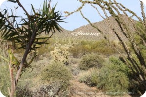 Phoenix sign in Usery Mountains