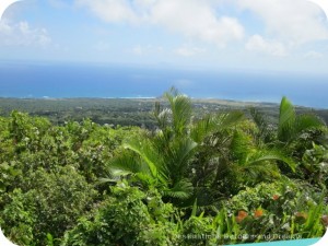 Nevis Queen of the Caribbees