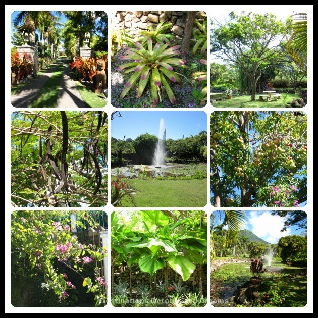 Botanical Garden of Nevis