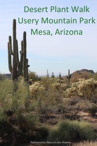 Desert Plant Walk at Usery Mountain Park,Mesa Arizona #Arizona #desert #park #Mesa #hike