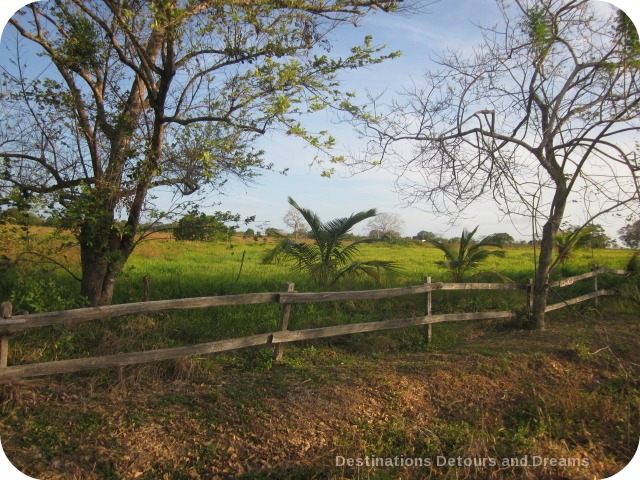 Countryside outside Pedasi, Panama