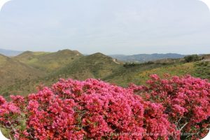 View from Ronald Reagan Presidential Library