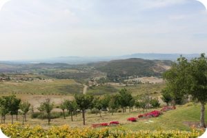 View from Ronald Reagan Presidential Library