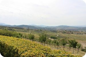 View from Ronald Reagan Presidential Library