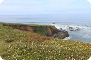 Coastline at Cambria, California
