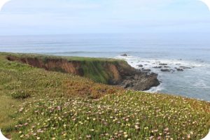 Coastline at Cambria, California