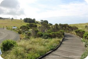 Fiscalini Ranch Preserve