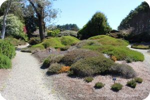 Mendocino Coast Botanical Garden