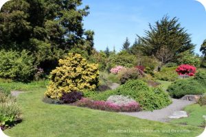 Mendocino Coast Botanical Garden Perennial Garden