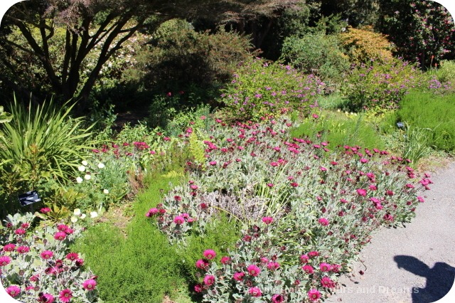 Mendocino Coast Botanical Garden