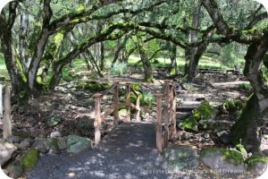 Shady picnic area at Matanzas Creek Winery