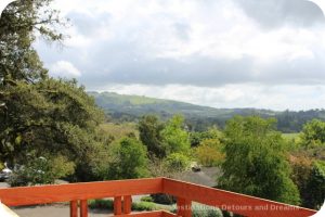 View from Matanzas Creek Winery