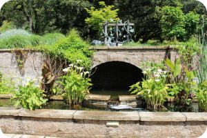 Water Garden at Matanzas Creek Winery