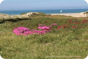 Oxnard; A Seaside City With Rich Farm History