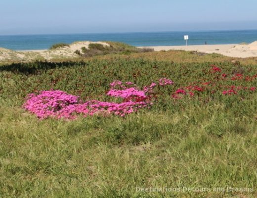 Oxnard; A Seaside City With Rich Farm History
