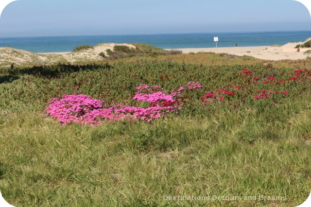 Oxnard: A Relaxed Seaside City with a Rich Farm History