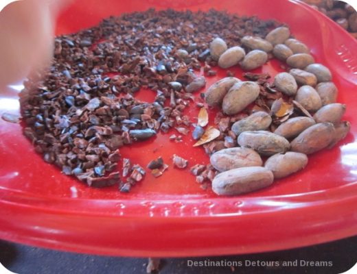 Making a Difference at a Chocolate Cooperative in the Dominican Republic