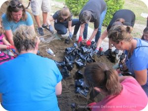 Making a Difference in the Dominican Republic: planting cacao