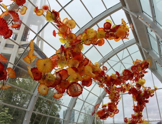 Magical Beauty at Chihuly Garden and Glass