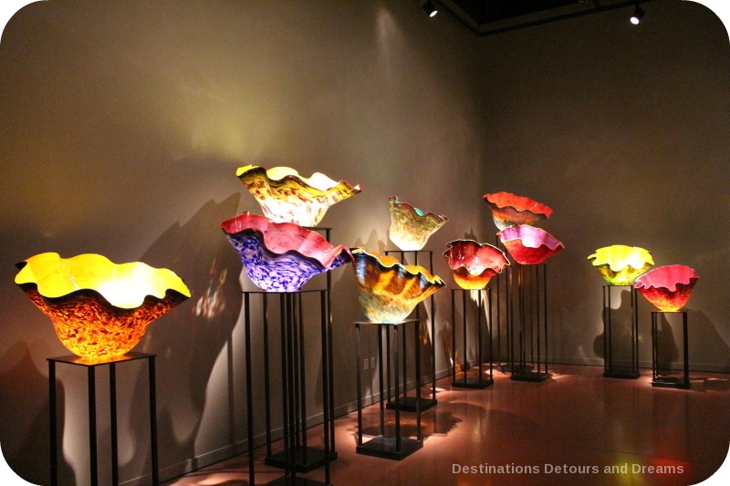 Macchia Forest at Chihuly Garden and Glass Chihuly Macchia Forest
