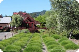 Wine in the Garden: Rustic Beauty at Truett Hurst Winery in Dry Creek Valley