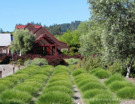 Wine in the Garden: Rustic Beauty at Truett Hurst Winery in Dry Creek Valley