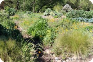 Wine in the Garden: Rustic Beauty in Dry Creek Valley