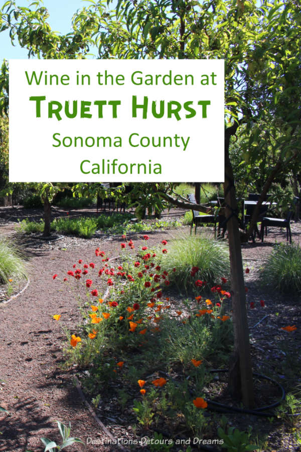 A visit to Truett Hurst winery in Dry Creek Valley in Sonoma County, California #California #winery #Sonoma 