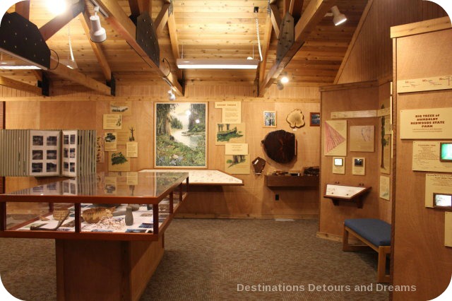 Museum at Humboldt Redwoods State Park Visitor Center