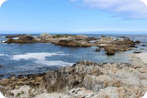 A Day in Monterey: Asilomar Beach