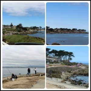 A Day in Monterey: scenic drive