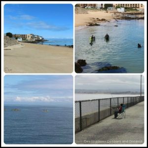 A Day In Monterey: San Carlos Beach