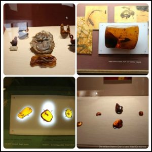 Puerto Plata Highlights: displays in The Amber Museum