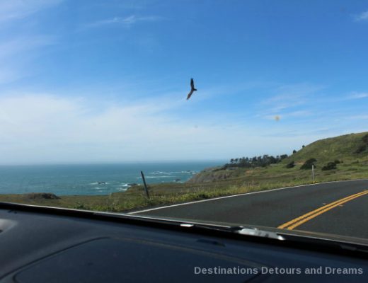 California North Coast Highlights